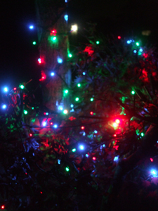 いよいよクリスマス