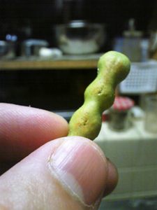 ギンビスの枝豆