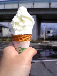本物のバニラ@日田