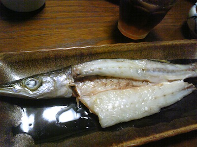 かます干物になる。