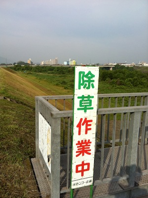 バナナミルクはどうだろう。