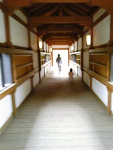 世の中知らないことばかり。