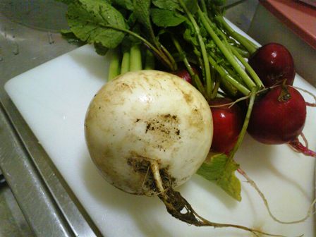 かぶ、食べつくし。