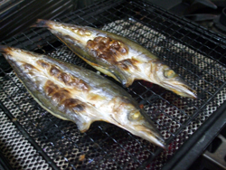 さかな、さかな、さかなー。魚を食べると。