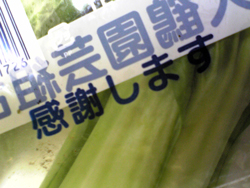 こちらこそ、感謝します