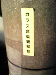 カラス、などのまいたるを。
