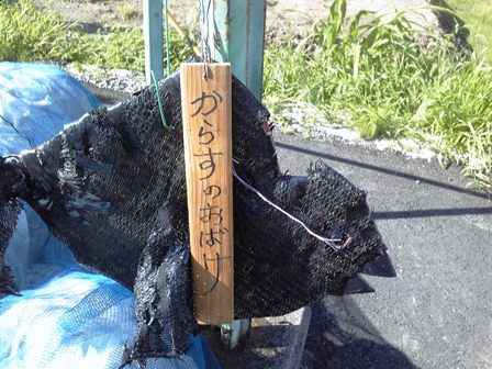カラスのおばけと麻婆夏野菜