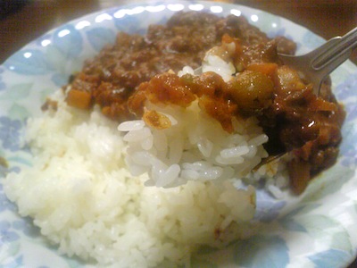 カレーがおいしすぎた。