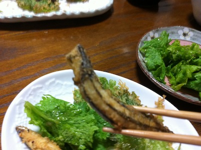 わさび菜とかぶを味わう。