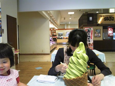 サイバークリーンはスライムで代用できるのか??