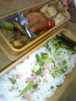 これくらいのお弁当2011。