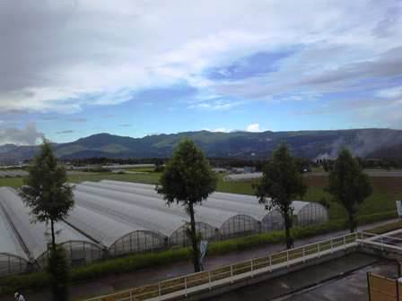 熊本のホテルの窓辺から