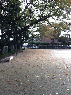 好きな場所。