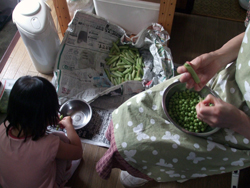 豆の大軍