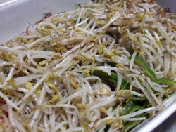 野菜の時間
