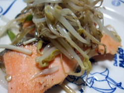 野菜の時間