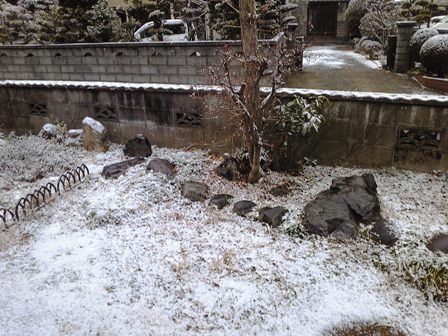 白い一日