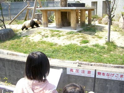 パンダに会いに。