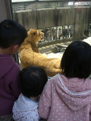 パンダに会いに。