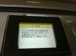 しいたけがこんなにうまくいくとは。