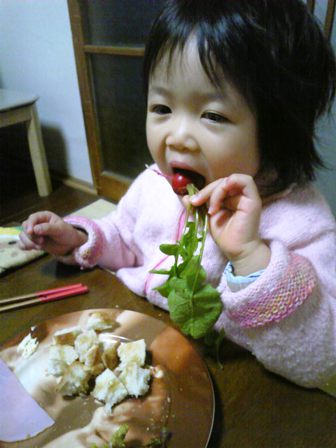 山もり生野菜(^_^)