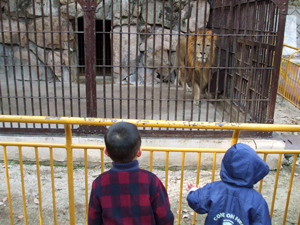 池田動物園