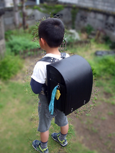 小学校1週間、PTA。