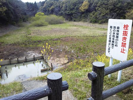 花見、滑り込みセーフ