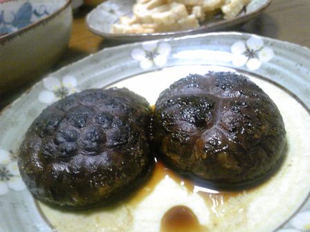 しいたけ豊作。