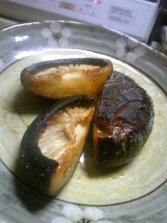 しいたけ収穫