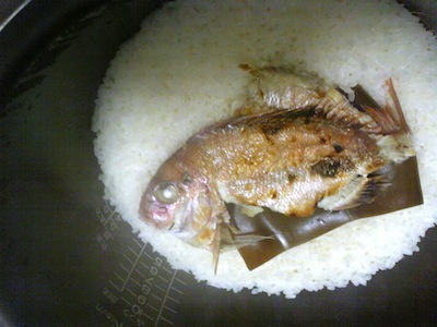 鯛ざんまい。