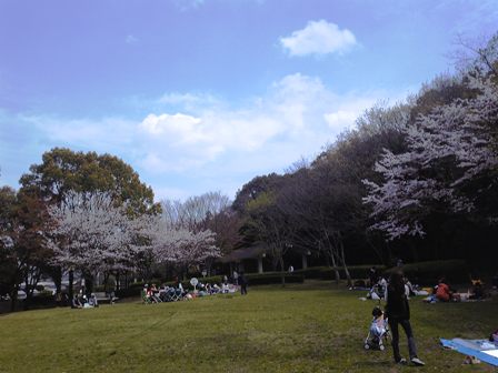 花見、滑り込みセーフ