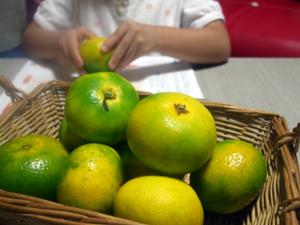 秋味、根菜、早生みかん。