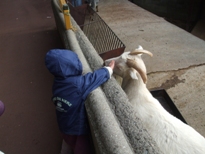 池田動物園