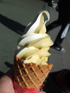 湯布院でおそるおそる食べてみた。