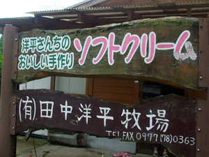 毎年恒例(2回目ですが…)ブルーベリー摘み!