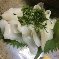 コウイカとのたたかい♩
