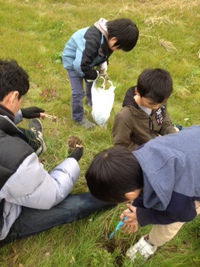 休日 野草採り