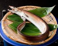 福岡に　おいで～(^^)/