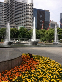 赤レンガの東京駅♪丸の内
