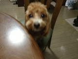 美容室～♪