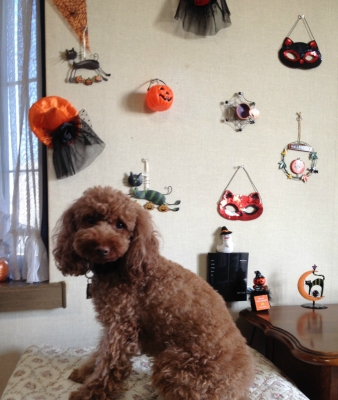 もうすぐ　ハローウイン♪