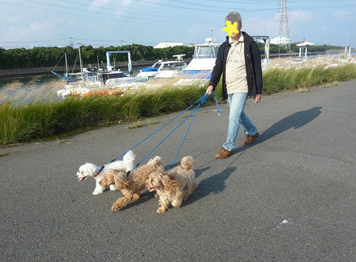 散歩~♪