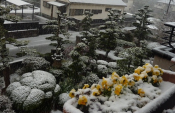 初雪！！