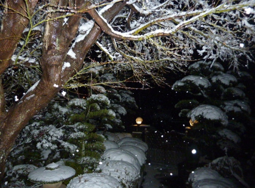 雪＾＾