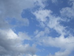7月11日の記事