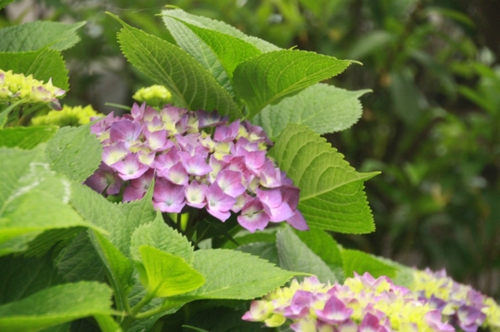 6月~♪