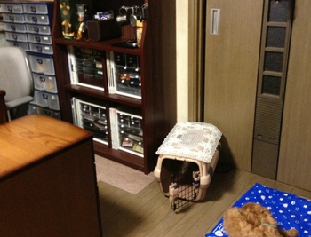リビング備品コーナー