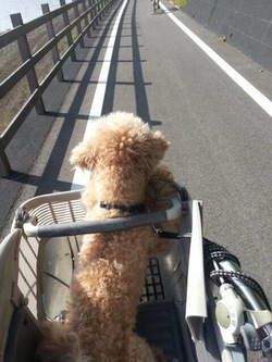 サイクリング～♪♪