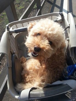 サイクリング～♪♪